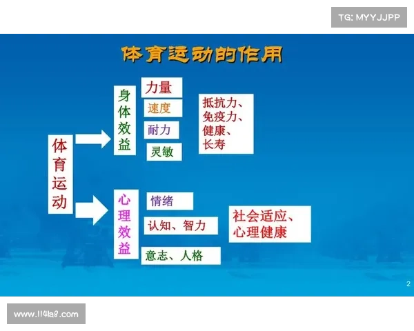 打之球:探索运动与心理的完美融合,提升竞技表现的关键因素 打之球:探索运动与心理的完美融合,提升竞技表现的关键因素